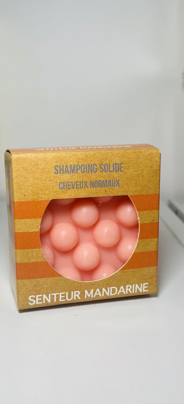 Shampoing solide